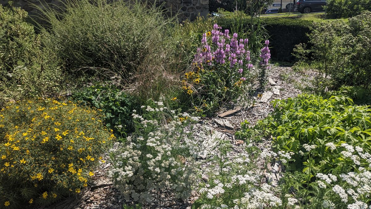 St Luke's Church Pollinator Garden