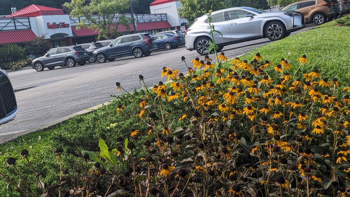 Brookside Village Shopping Center