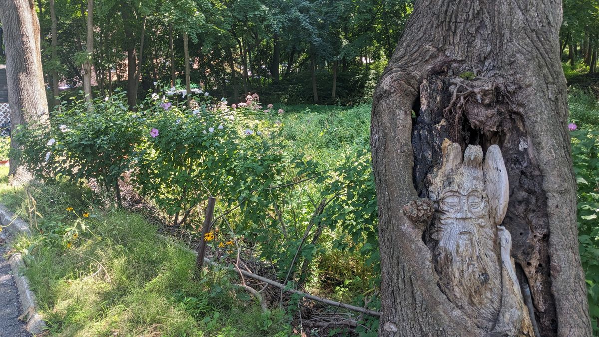 Mount Kisco Early Settlement Trail - North End