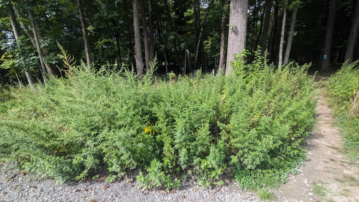 Little Deep Trailhead