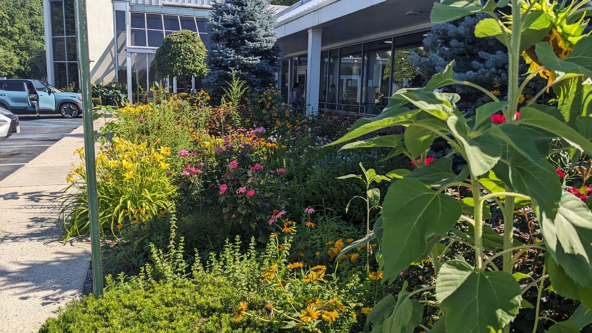 Pollinator Garden at Green's Natural Market