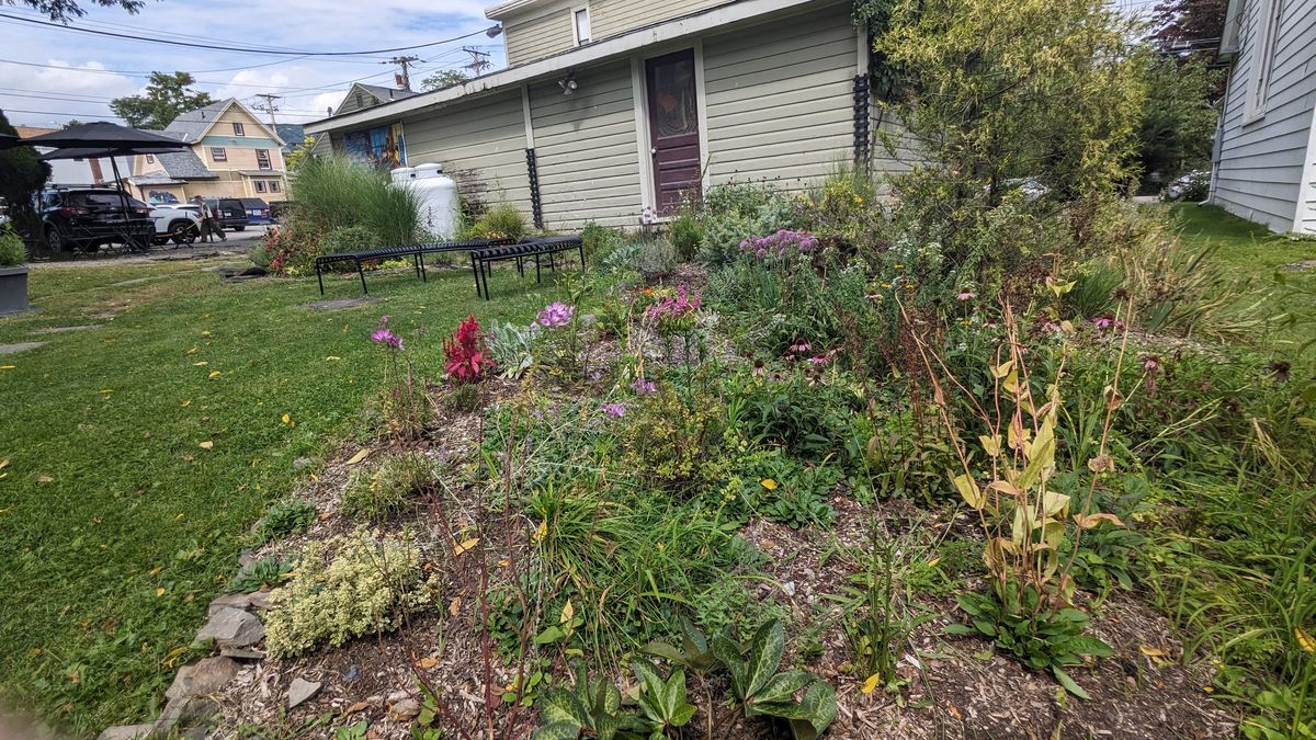 Christ Lutheran Church Rear Garden