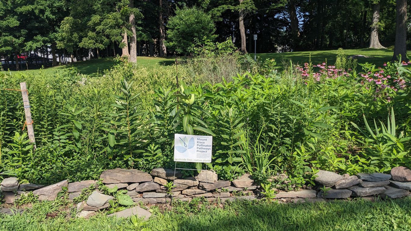 Laura Flewellyn Memorial Pollinator Garden